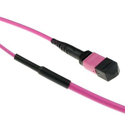 80 meter Multimode 50/125 OM4(OM3) polarity B fiber trunk cable with MTP/MPO female connectors
