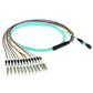 5 meter LSZH Multimode 50/125 OM4 fiber patch cable with MPO female 12 LC connectors